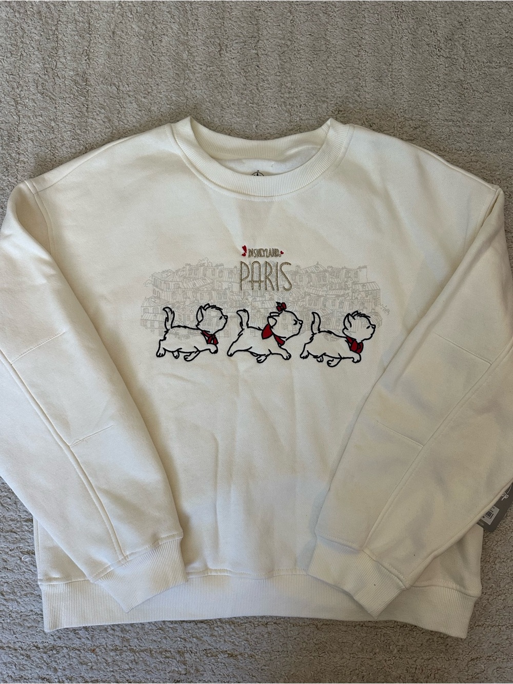 Disneyland Paris Sweater
